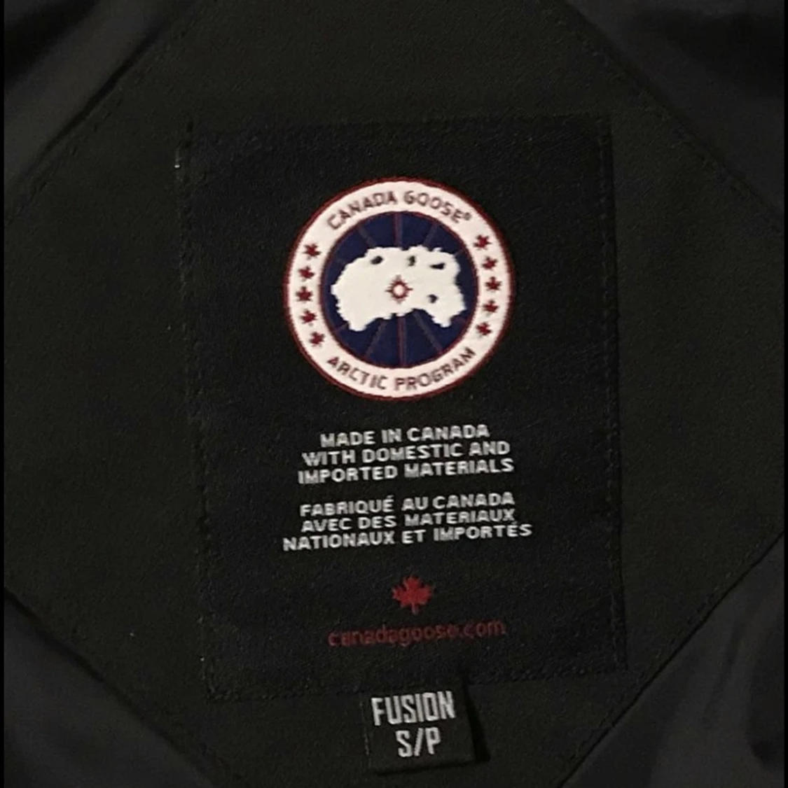 Canada goose wydman  - 91