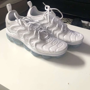 Nike Vapor Max Plus  - Ny skick aldrig använda ✅ ingel lukt ✅ svar inom 12 timmar ✅ 