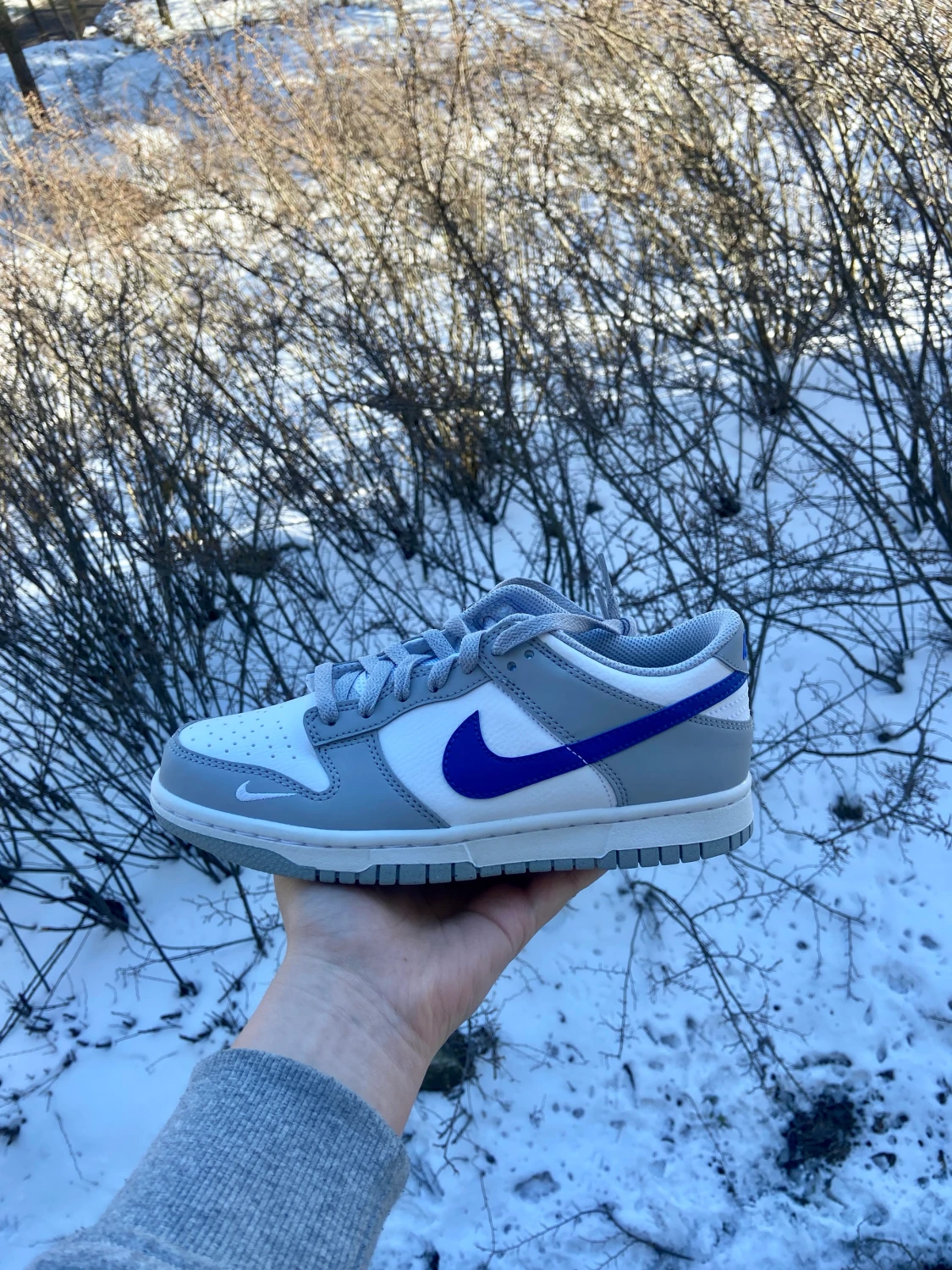 Nike Dunk Low Royal Grey - 90