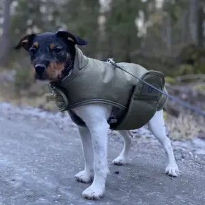 Världens snyggaste vinterjacka till hundar. Första bilden var när hon var liten, nu har min hund växt ur den! Hon använde den endast 3-4 gånger. Frakten tillkommer 💖😊