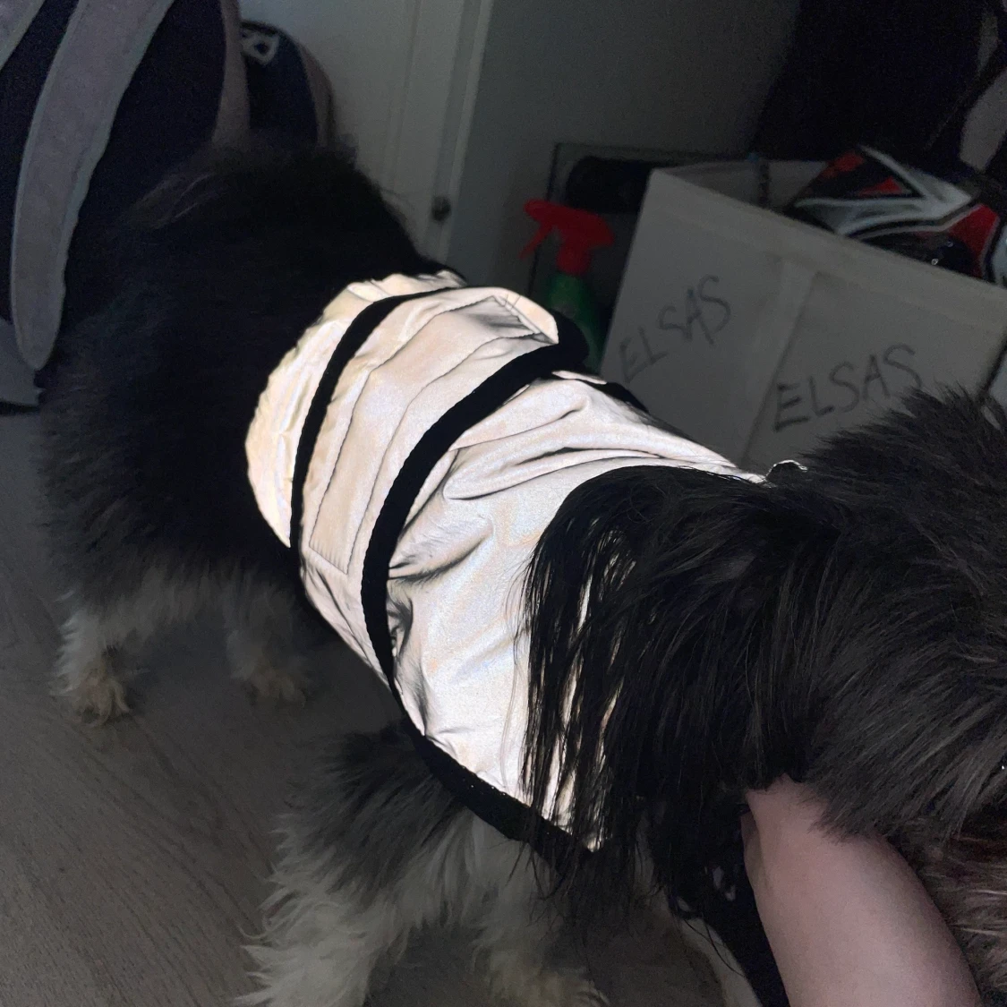 Reflextäcke för hundar - 91