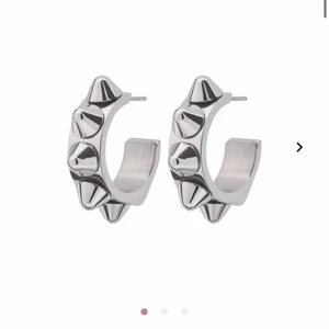 Nit örhängen!! - Dessa superfina populära örhängena från Edblad!! Använt fåtal gånger, väldigt fint skick. Köpta för 299🤩 Säljer även matchande ring.