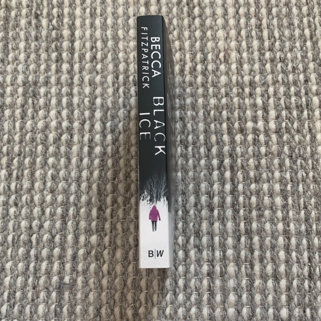 Black Ice av Becca Fitzpatrick - 91