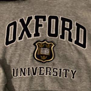 Grå mysig Oxford University hoodie