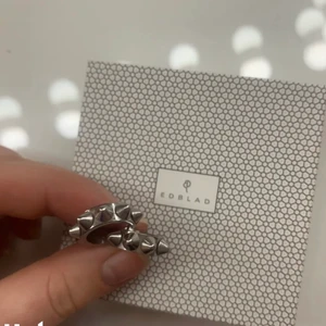 Edblqd örhängen - Säljer dessa i bra skick då jag använder guld mer än silver så de kommer ej till användning 