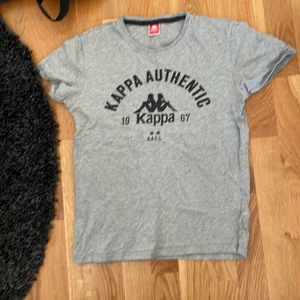 Grå kappa tröja  - Det står på tröjan att det är storlek m, men jag skulle snarare säga att det är en s. Förutom det är den i ganska bra skick och jag är lite osäker på hur många gånger den är använd.