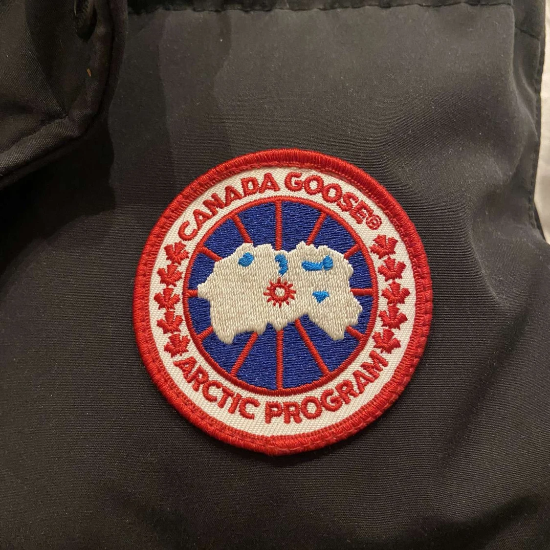 Canada goose  - 90
