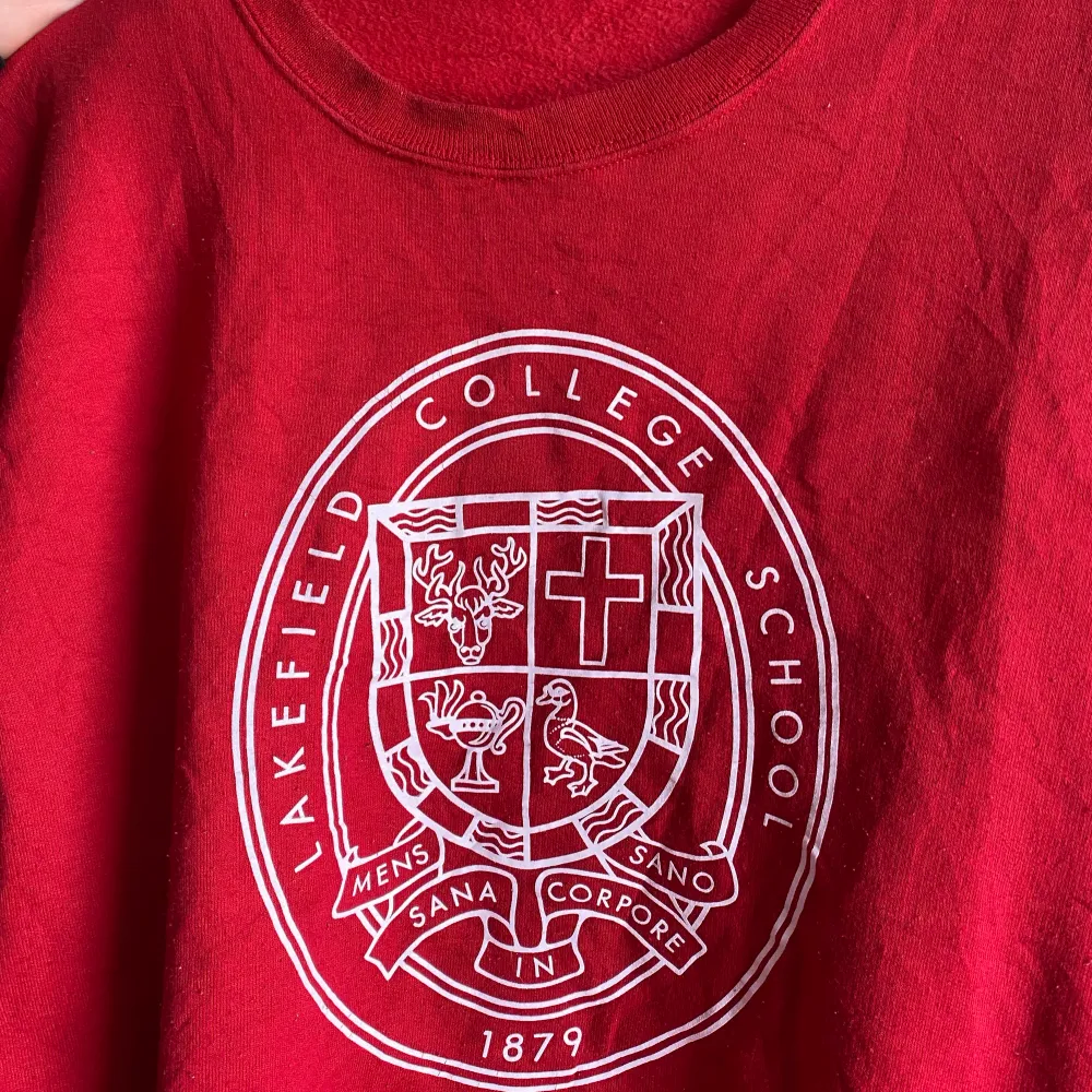 Röd snygg vintage sweatshirt i bra skick!  Storlek L. . Hoodies.