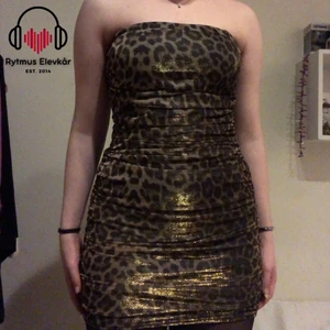 Leopard mönstrad klänning - Leopard mönstrad klänning i strl S. Säljs av Rytmus Stockholms Elevkår, alla kläder som säljs har skänkts utav elever på Rytmus och de pengar som samlas in från klädinsamlingen ges oavkortat till WWF. Ta chansen och köp fina kläder second hand och bidra på samma gång till att bevara miljön!