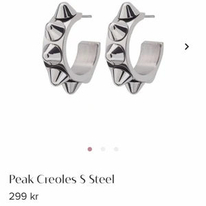 Oanvända edbladörhängen - Helt nya örhängen som inte ens är uttagna i paketet, skriv för frågor eller bilder💘( råkade köpa två)