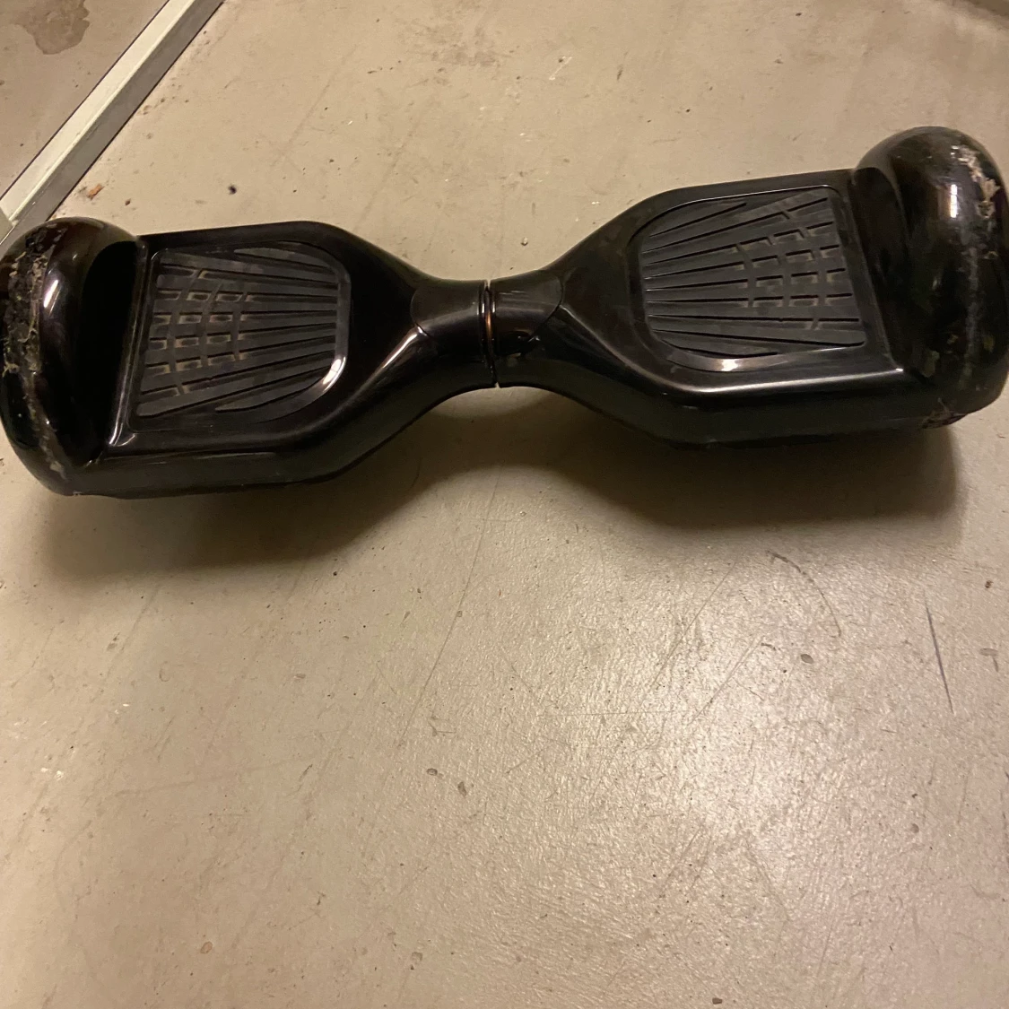 En svart have a bored