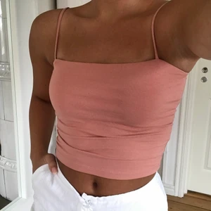 Rosa linne - Rosa linne