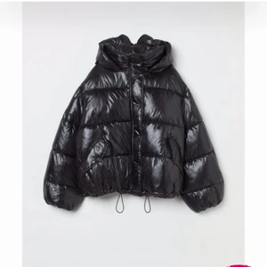 Hm pufferjacka - Säljer min superfina pufferjacka med dragkedjeluva från H&M!💕💕 Helt slutsåld på hemsidan!!💥💫                                                              Är storlek M/L och sitter rätt oversized på mig. Även fast den är oversized men tycker ändå den e skitfin och passar bra om man vill ha en look som är mer oversized🥳❤️                                     Skriv om ni vill ha fler bilder!!💕💕 Köpt för 700 säljer för 550kr🕺🏼🕺🏼