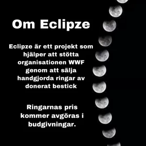 Ringar - En kort beskrivning om vad jag gör i detta projektet! 