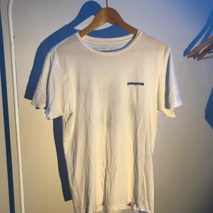 Patagonia T-Shirt - Vit/blå t-shirt från Patagonia i storlek small. Logga på vänster bröst och större tryck på ryggen. Otroligt skön då det är organiskt material.