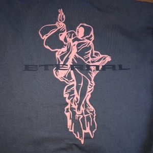 Hoddie  - Använd hoddie som är köpt på Hm 