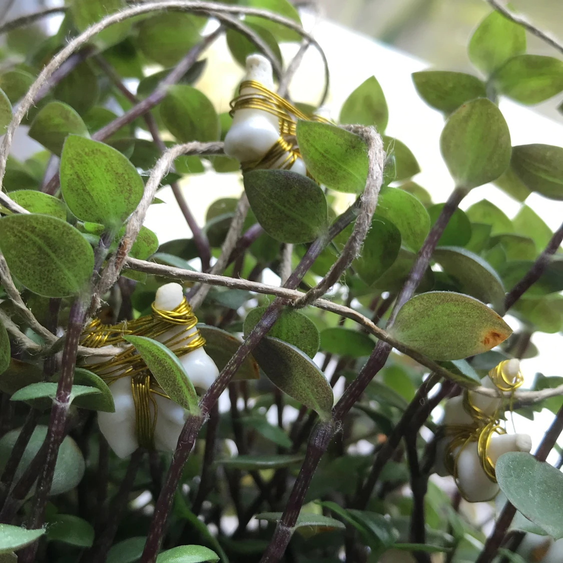 Handgjorda hjort-tands halsband - 90