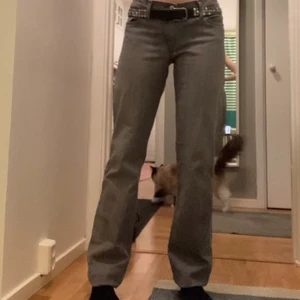 Grå jeans - Gråa jeans som jag köpte på sellpy men som dessvärre är för långa på mig:-( (168cm). Skriv om du vill ha mått eller bättre bilder💕frakt 79💕
