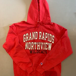 Vintage champion college hoodie - Size M