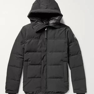 Canda goose - Fint skick