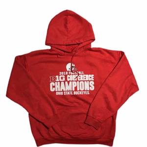 Vintage collage champion hoodie  - Skitsnygg vintage collage hoodie, säljer pga att jag tyvvär inte använder den jättemycket. Den passar med allt. Om du vill ha fitt-pick, skriv! 