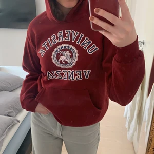 Hoodie - Snygg Hoodie i bra skick (dock lite nopprig). Frakt på 66kr tillkommer!