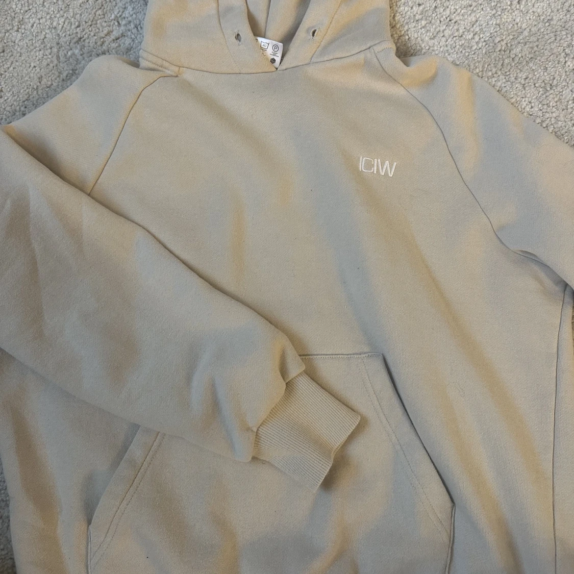 ICIW hoodie