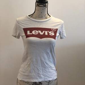 En vanlig Levi’s T-shirt. Pris kan diskuteras:)