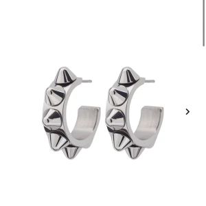 Nit örhängen  - Säljer dessa nit örhängen från Edblad då dem inte kommer till användning. Bra skick