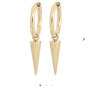 Örhängen Edblad  - Säljer dessa örhängen, endast använda ett fåtal gånger så är i nyskick. Skriv för fler bilder💕💕