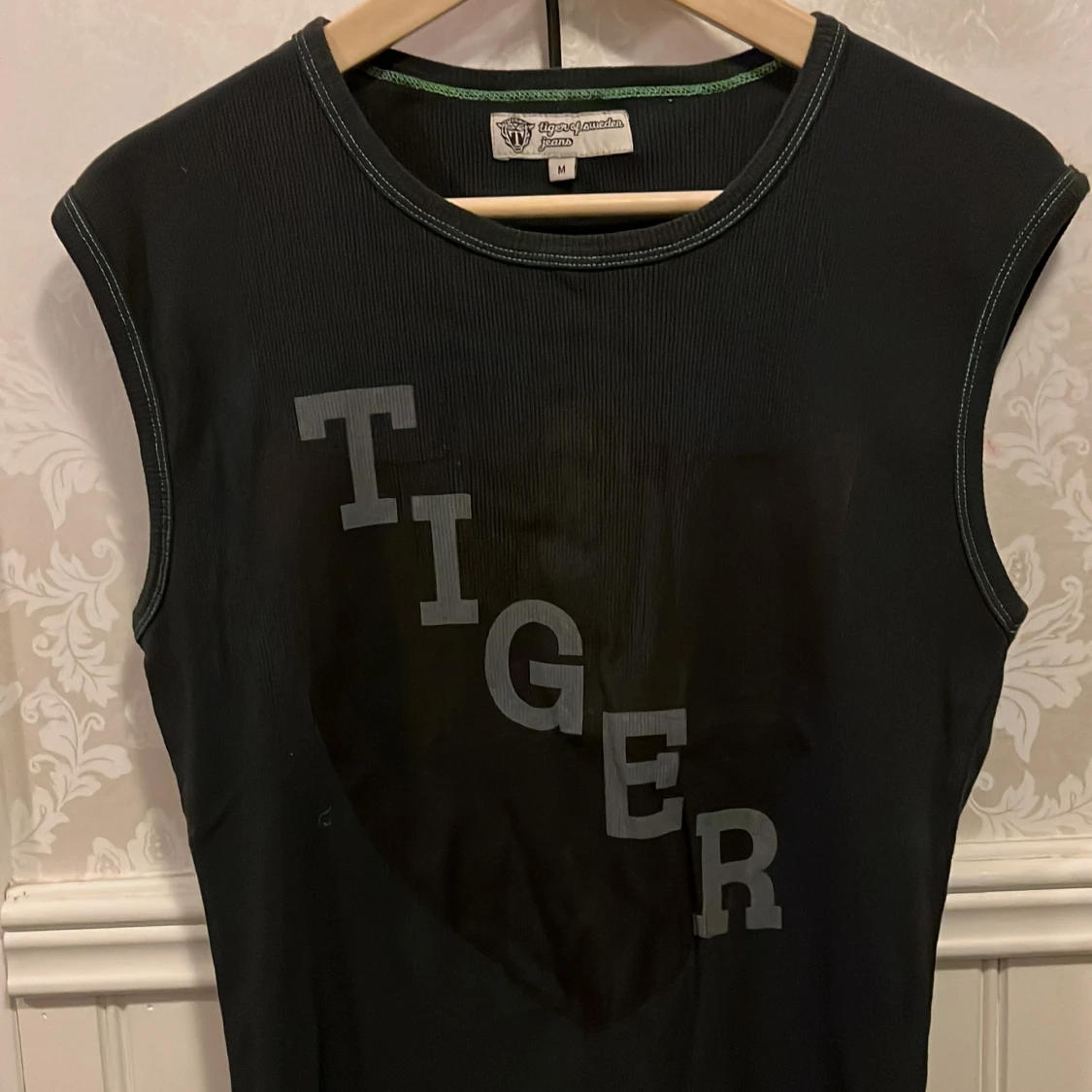 Linne, Tiger of Sweden - 91