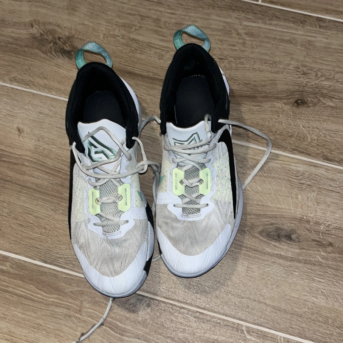 Ginnis imortality 43