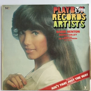 Vinylskiva - (Köp 5 stycken vinylskivor för 100kr!)🫧