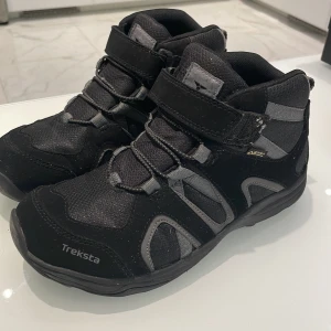 Treksta Goretex skor - Treksta Goretex skor i strl 38 men lite små i storlek. Vattentäta.
