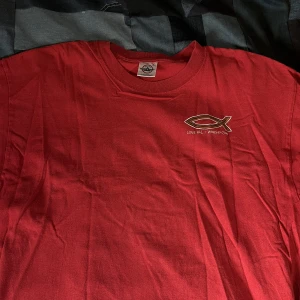 Vintaget t-shirt - snygg röd T-shirt tyvärr så finns det ett litet hål under höger arm:/ även ett jätte lite hål på ryggen längst ner:( annars en jätte fin tröja, Made in USA, dm vid frågor