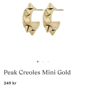 Edblad öronhängen  - Säljer mina Edblad öronhängen eftersom de inte kommer till användning. Säljer för 275kr💕