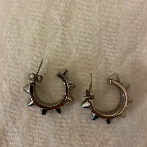 Edblad örhängen  - Säljer ett par super coola örhängen från Edblad💕