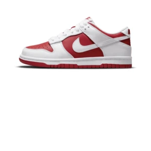 Nike dunk - Nike dunk skor använd ett par gånger men i bra skick 