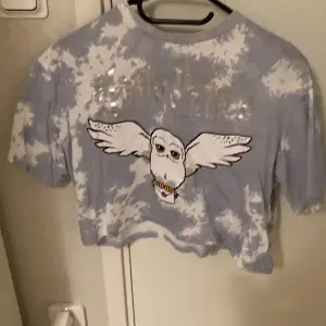 Harry Potter t-shirt från hm. Det står Harry Potter med silverfärgad och hans Uggla Hedwig på tröjan. Den säljs inte längre. Den är bred och kort och stor i storleken men ingen magtröja direkt. Den är ner till armbågarna. Den är blå och vit.