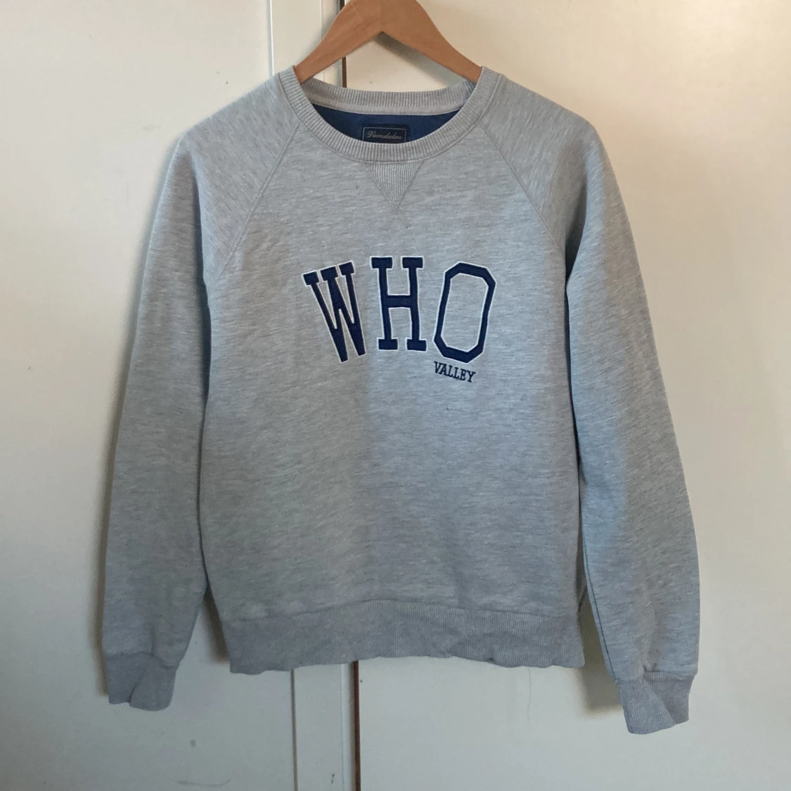 Tröja med tryck från Vemdalsskalet