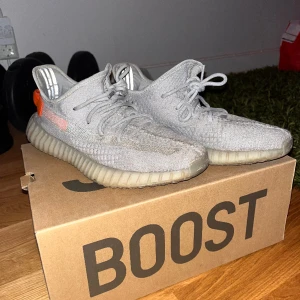 Adidas Yeezy 350 tailGT - Snvända mycke men dem är i bra skick Lite smutsiga  Inte trasiga nånstans Sjukt sköna skor