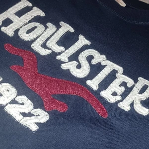 Hollister Tröja - Hollister tröja i nyskick