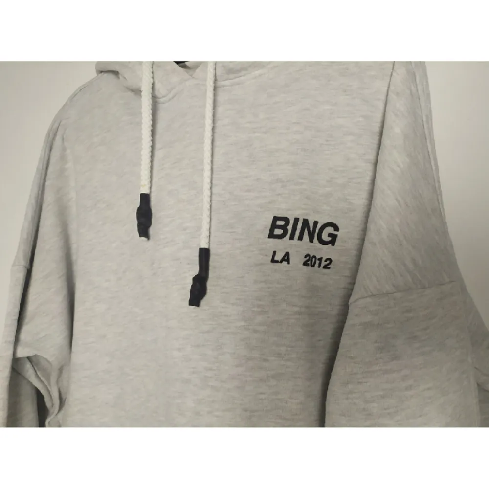 Så snygg Anine Bing hoodie! Bra skick och sååå mysig💞. Hoodies.