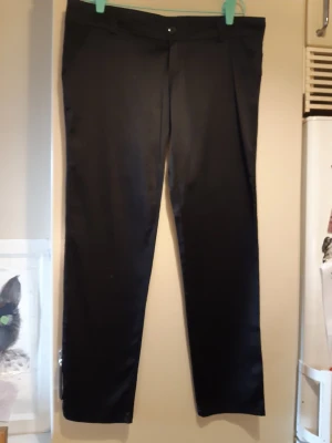 Byxa i blank satin - Low rize byxa, med två fickor fram och en bak  Storleken står Xx L, men det är boutiq storlekar och då som en 34 - 36 i svensk srorlek  OnvändA. Märket vet jag inte, ett broderat äpple i silver är loggan. Möjligen tjejbyxor men kanske unisex. 