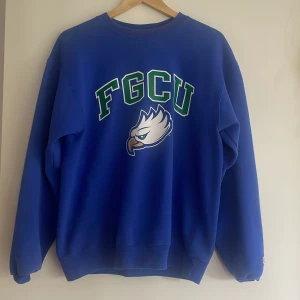 Champion collegetröja - En väldigt snygg blå champion collegetröja i storlek M. Köparen står för frakt