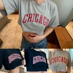 T-shirts - Två stycken t-shirts från shien. Mycket gott skick och knappt använda.