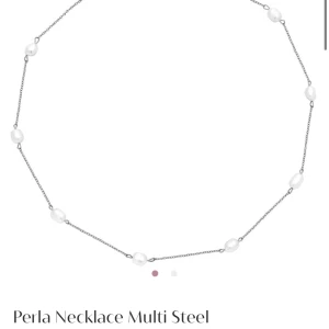 Edblad halsband - Jättefint helt oanvänt halsband som tyvärr inte kommer till användning, orginalpris 449, kan mötas upp i sthlm💓