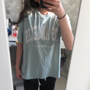 T-shirt - Säljer en ”mild mintig” T-shirt med ett snyggt motiv på. Från SHEIN i strl. S. Använd under hösten 21 och har bara legat i garderoben de senaste åren. Sparsamt använd! Köparen står för frakten😇