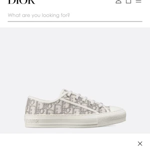 Söker Dior walkn - Söker dior walkn skor i stolek 37-38-39 vilken färg som helst, hör av er om ni säljer