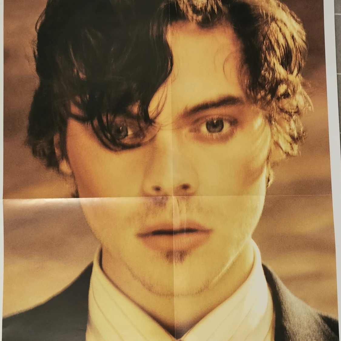 Dubbelsidig HARRY STYLES Poster (Limited edition från Beauty Papers 2020)  - 90
